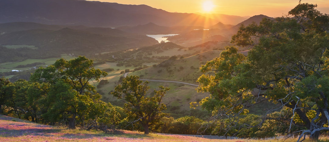 Spring 2020 Update – Southern Oregon Real Estate Market